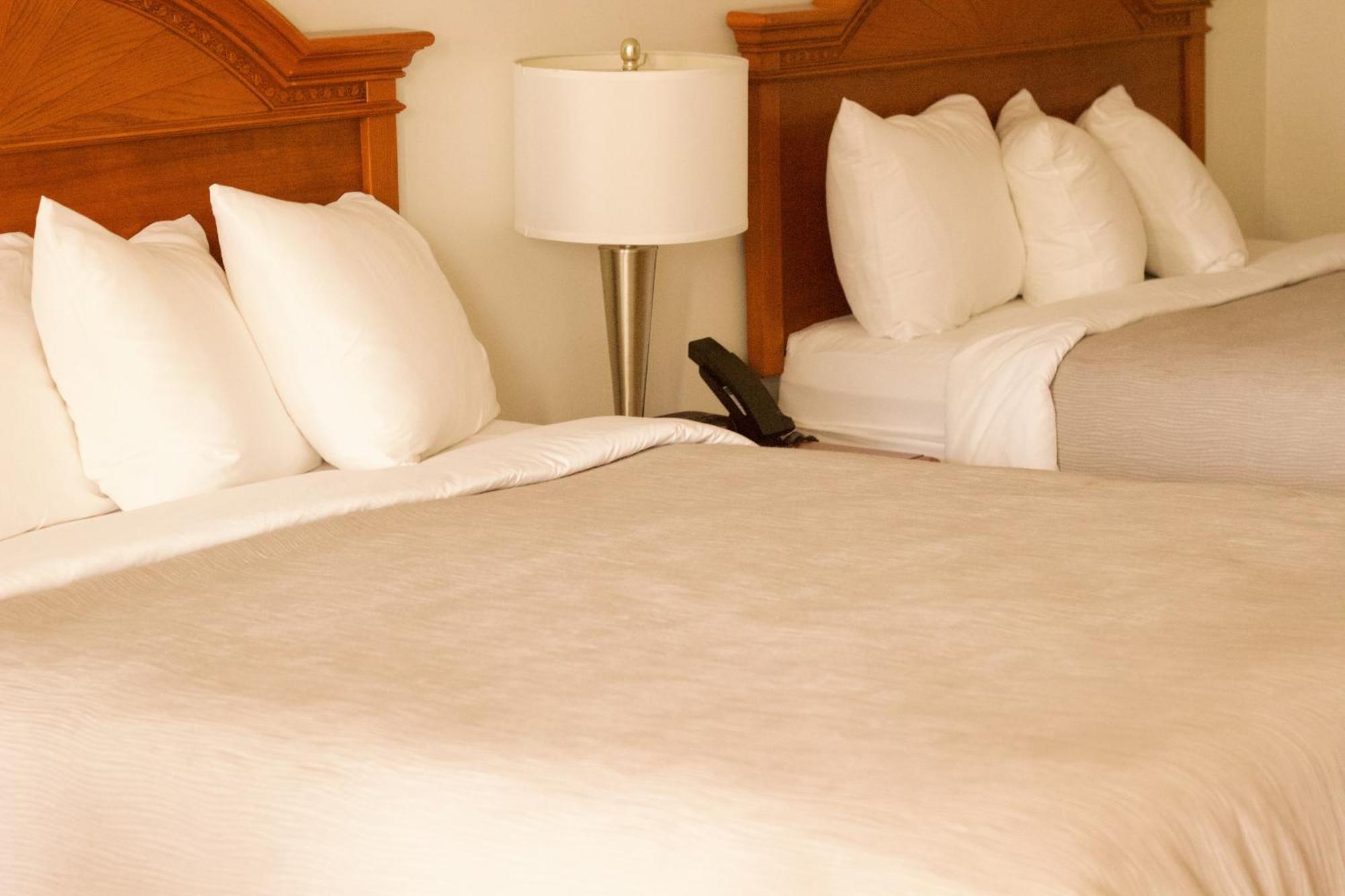 Quality Inn Near Chattanooga South Ринголд Екстериор снимка