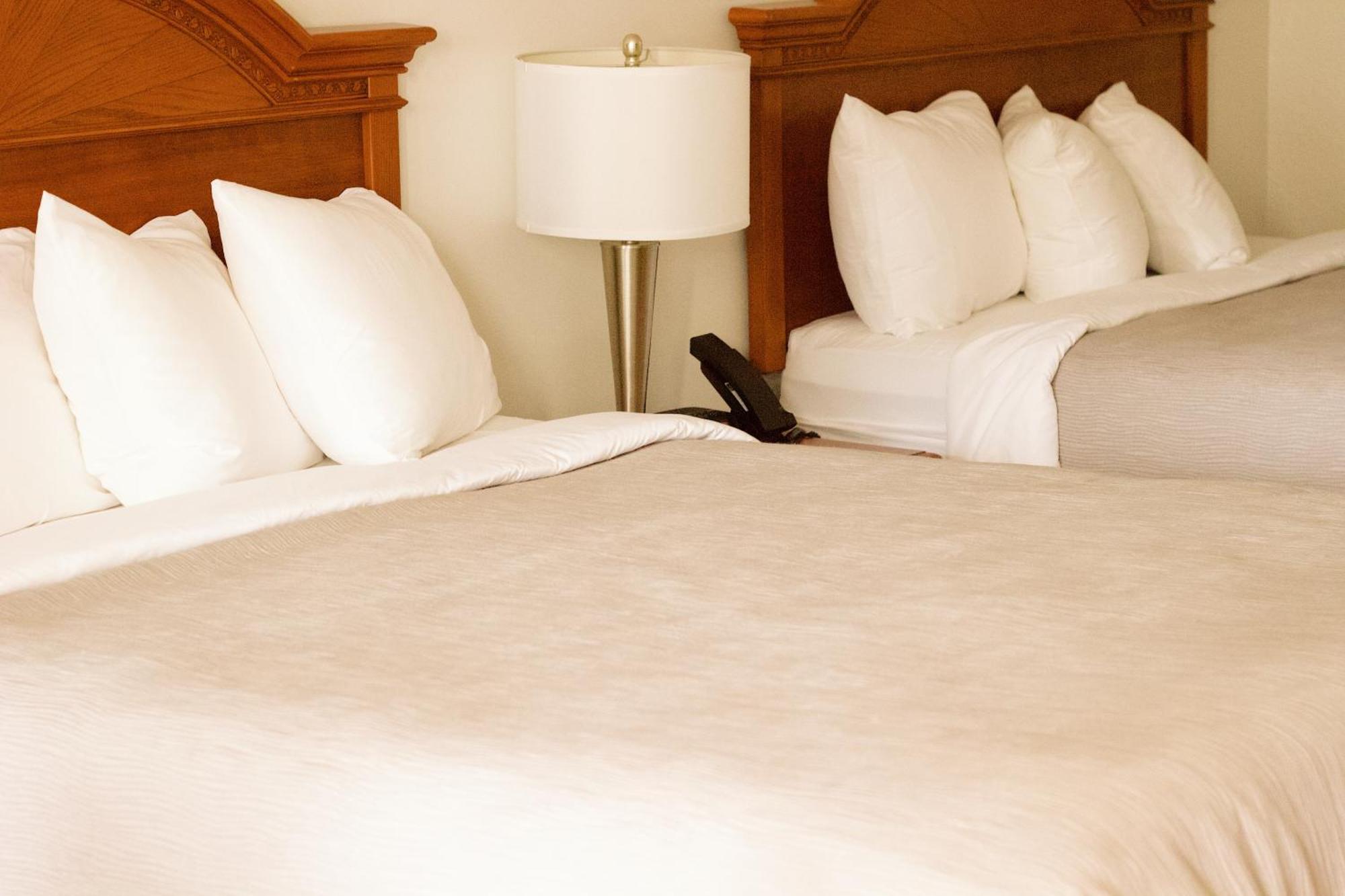 Quality Inn Near Chattanooga South Ринголд Екстериор снимка